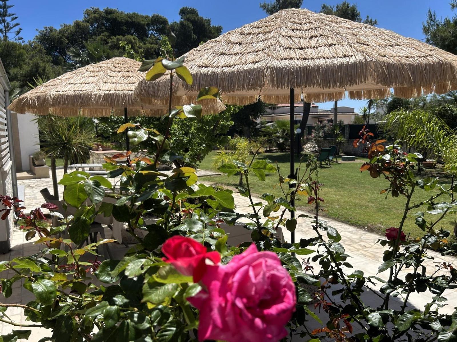Villa Soleanna Residence В'єсте Екстер'єр фото